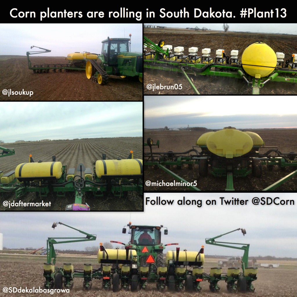 plant13May2